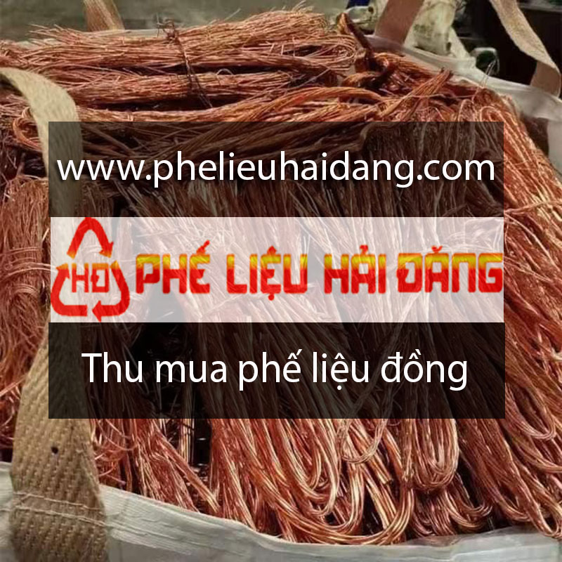 Thu Mua Phe Lieu Dong 11